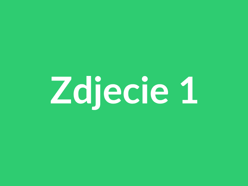 Zdjecie 1