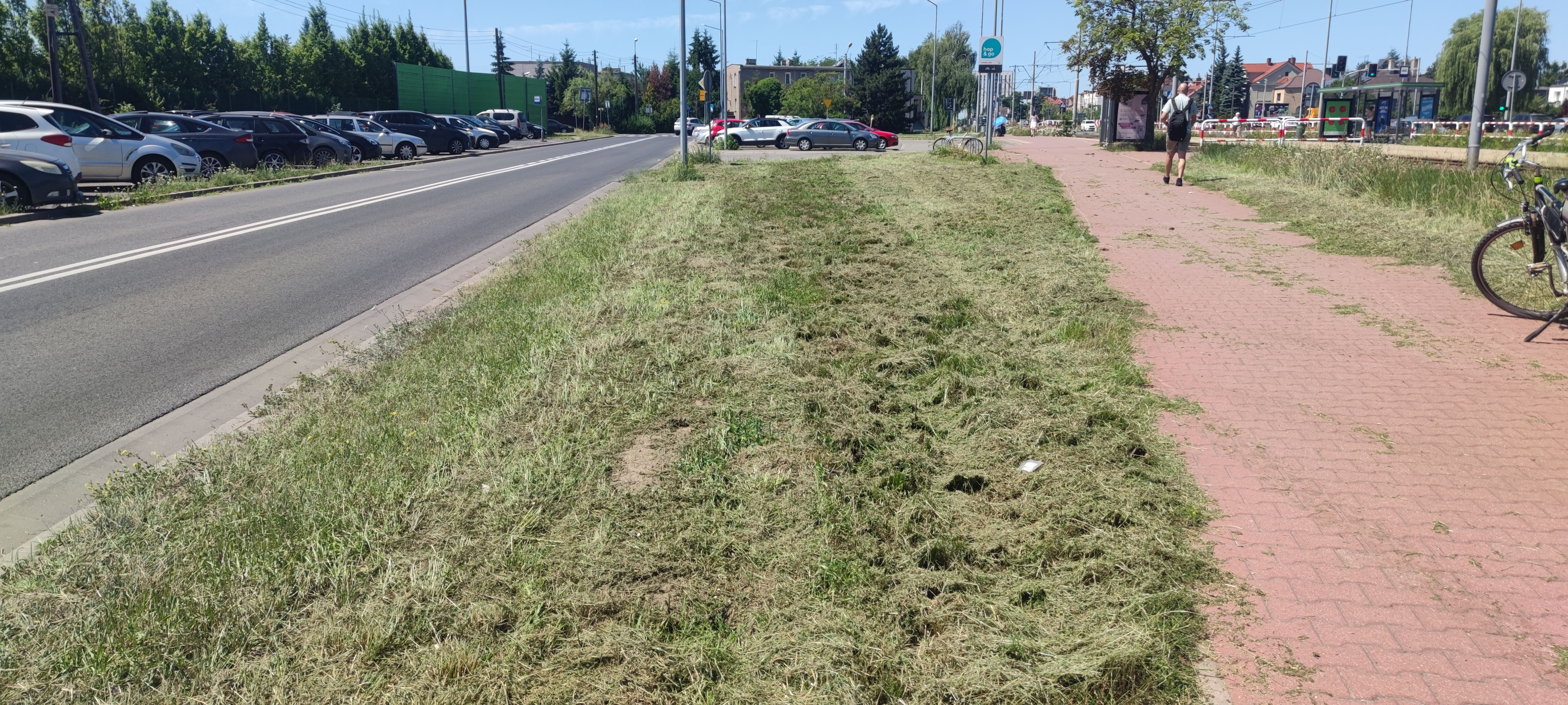 Upały czerwiec 2026, rejon u. Warszawskiej, Bożeny